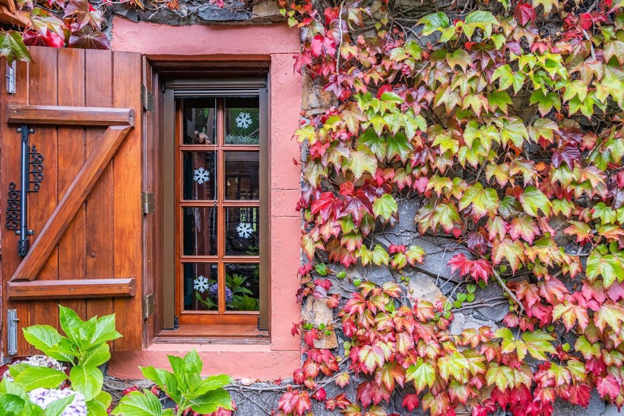 Villa Achada Da Mouca By Madeira Sun Travel Сантана Экстерьер фото